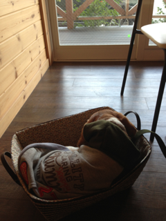 image-20130221192631.png